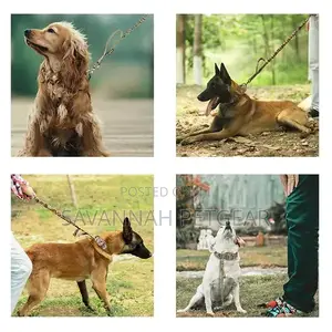 Tactical Military Training Bungee Elastic Dog Leash 96CM