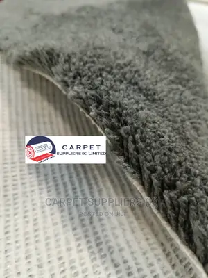 Fluffy Grey Carpet