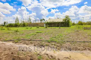 Oasis Gardens. Juja's Hidden Gem ^KK