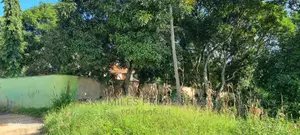 Animo Mtwapa,1 Acre on Sale