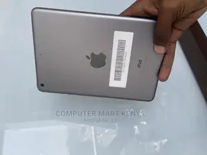 Apple iPad mini 2 16 GB Gray