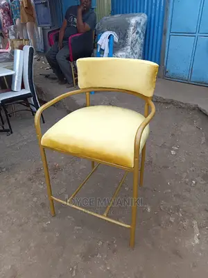 Unique Styling Chair or Restaurant Chair
