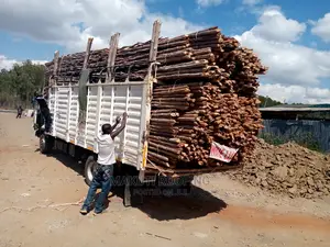 Makonge for Sale and Suppliers Best for Makuti Roofing