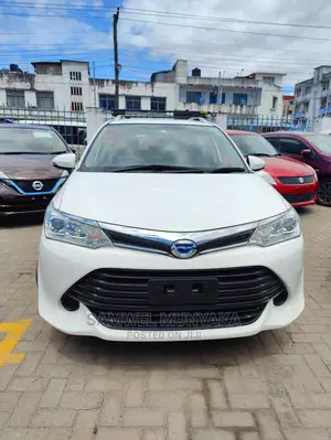 Toyota Corolla Fielder 2016 Pearl