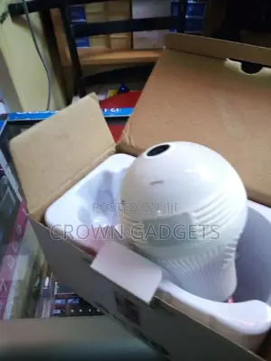 Spy Camera Bulbs