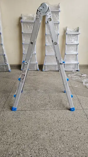 Little Giant Ladder/Multipurpose Ladder-20feet