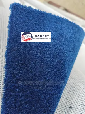 Blue Wall to Wall Carpet