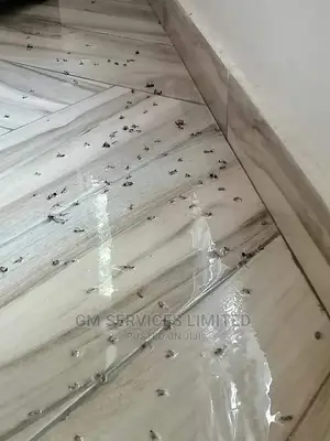 Pest Control; Roaches, Bedbugs, Termites, Mosquitos, Snakes