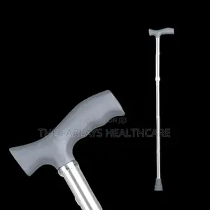Walking Stick