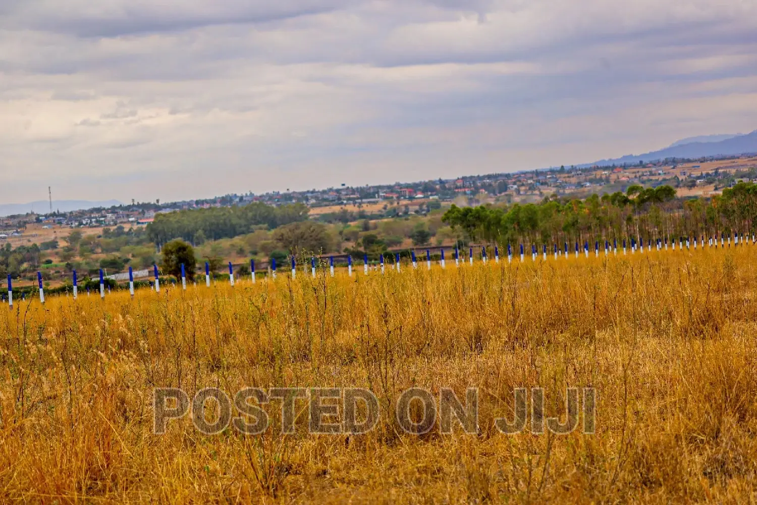 Kamulu Views^Jm