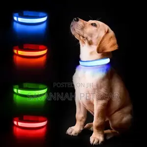 Customized LED Dog and Cat Collars USB Rechargeable