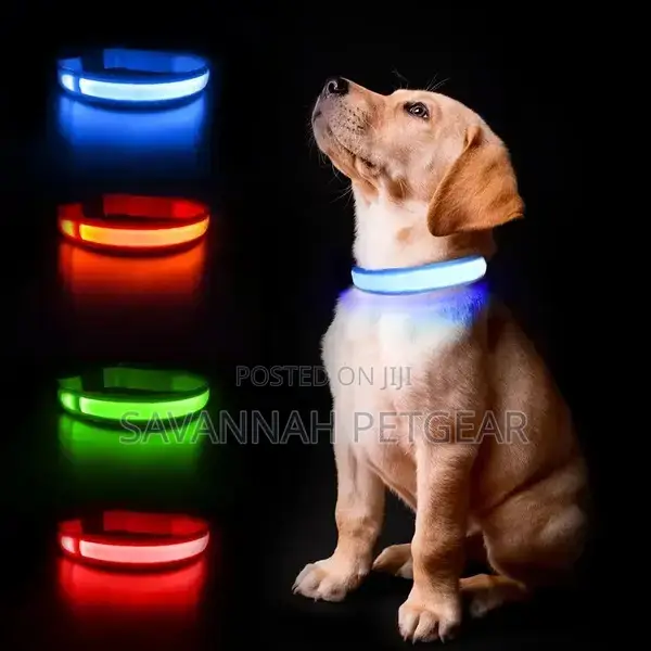Customized LED Dog and Cat Collars USB Rechargeable
