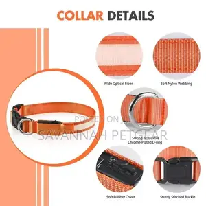 Customized LED Dog and Cat Collars USB Rechargeable