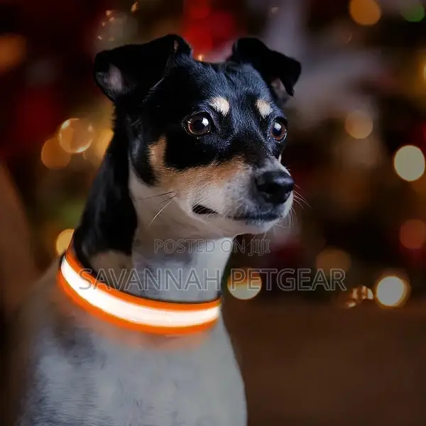 Customized LED Dog and Cat Collars USB Rechargeable
