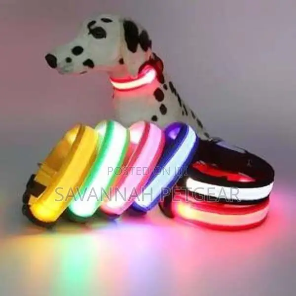 Customized LED Dog and Cat Collars USB Rechargeable
