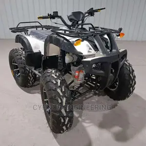 Theme Park ATV