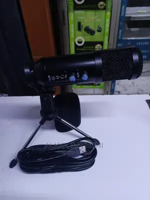 New Condenser Microphone With Echo and Mute Button