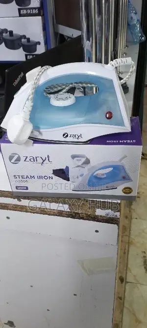 Zaryt Steam Iron Box