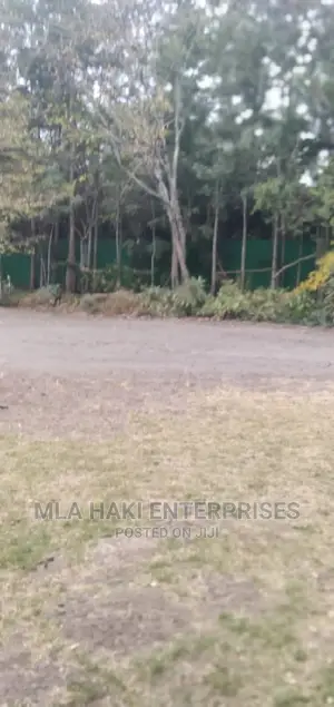 15 Acres Of Commercial Land