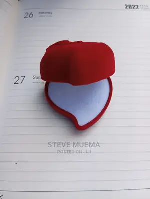 Luxury Velvet Ring Case.