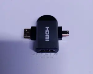 Micro-Hdmi+Mini-Hdmi to HDMI Female Converter