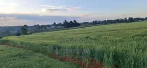 3 Acres for Sale in Moiben Junction Sergoit in Eldoret