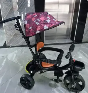 Tricycle With Canopy and Parental Control Handle
