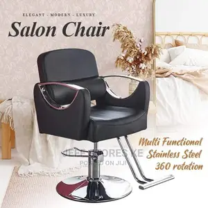 Elegant Modern Styling Chairs
