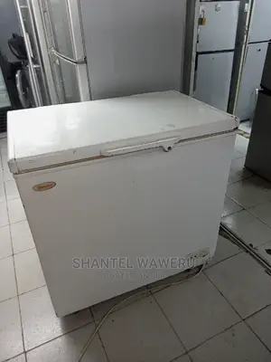 Deep Freezer 300 Litres
