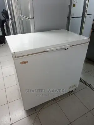 Deep Freezer 300 Litres