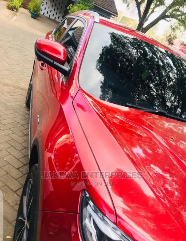 Lumar Tint / 3M Tint Film Professional Including Windscreen