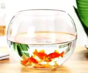 Fish Bowl Aquarium With Fish