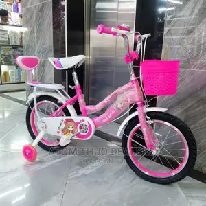 Size 16 Bicycle/Girls/ Boy Pink/ Pupple