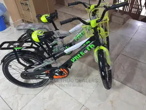 Unique 3 Gun Bike