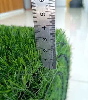 Artificial Grass Carpet