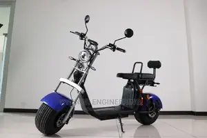 Citycoco Electric Scooter