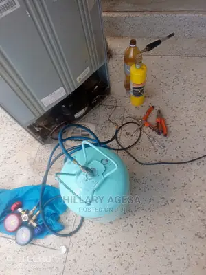 Fridge Refills and Compressor Change