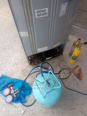 Fridge Refills and Compressor Change