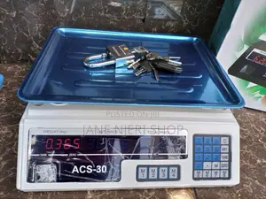 Armless Weight Scale