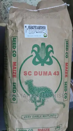 Duma 43 Maize Seeds 2kgs