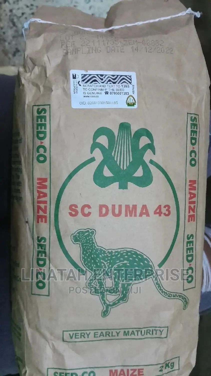 Duma 43 Maize Seeds 2kgs