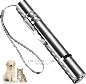 LED Cat Laser Toy
