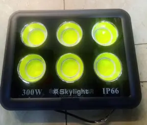 300w AC Floodlight
