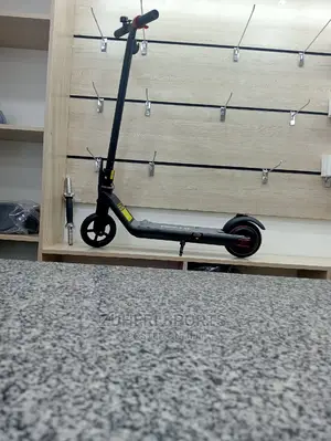 Electric Scooter 6.5 Inch
