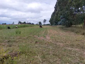 Affordable Prime 50x100 Plots