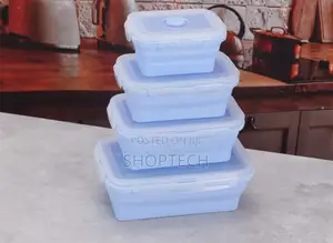 Silicon Food Container