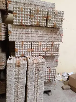 Heavy Duty Carton Egg Trays