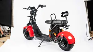 1500W Electric Scooter