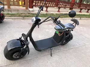 Electric Scooter With 65km Range