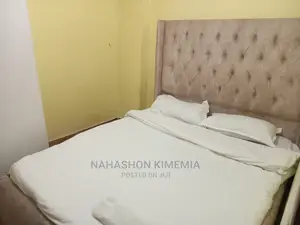 Spectacular One Bedroom Airbnb TRM Drive Roysambu Thika Road